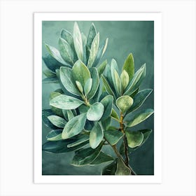 Eucalyptus 2 Art Print