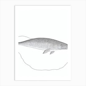 Basilosaurus Black & White Drawing Art Print