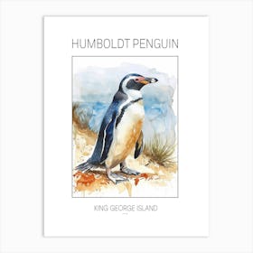 Humboldt Penguin King George Island Watercolour Painting 3 Poster Art Print