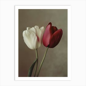 2024 May Poster Tulips 1 Art Print