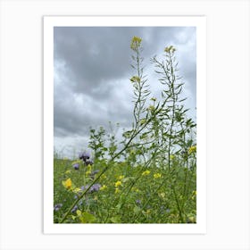 Field Of Wildflowers Art Print