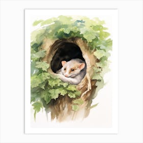 Light Watercolor Painting Of A Sleeping Possum 1 Art Print