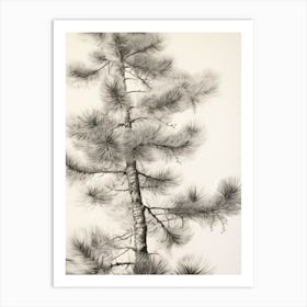 Botanical Winter Branch Vintage Art Print