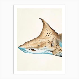 Wobbegong Shark 2 Vintage Art Print