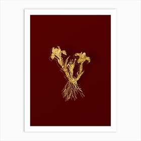 Vintage Sand Iris Botanical in Gold on Red Art Print