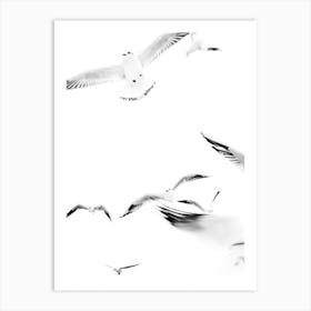 Birds 2 Art Print
