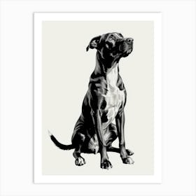 Black And White Dog 1 Art Print