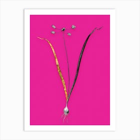 Vintage Allium Scorzonera Folium Black and White Gold Leaf Floral Art on Hot Pink n.0454 Art Print