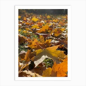 Autumn Leaves On The Ground 2 Art Print