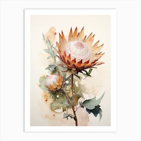 Pressed Flower Botanical Art Protea 1 Art Print