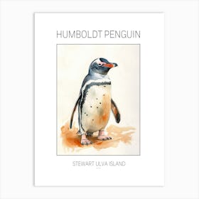 Humboldt Penguin Stewart Island Ulva Island Watercolour Painting 1 Poster Art Print