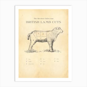 British Lamb Cuts Butcher Chart Art Print
