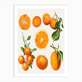 Oranges Art Print