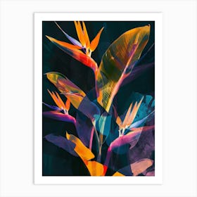 Bird Of Paradise 16 Art Print