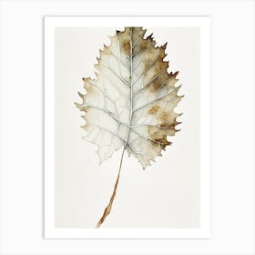 White Oak Leaf Minimalist Watercolour 3 Art Print