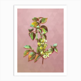 Vintage Field Elm Botanical Art on Crystal Rose n.0103 Art Print