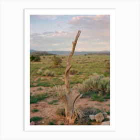 Abiquiu Sunset on Film Art Print