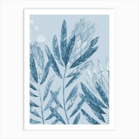 Blue Proteas Canvas Print Art Print