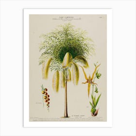 Palm Tree 3 Art Print