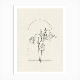 Snowdrop Flower Art Print