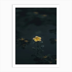 Single Yellow Flower In Water 1 Art Print