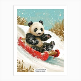 Giant Panda Cub Sledding Down A Snowy Hill Poster 1 Art Print