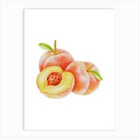 Watercolor Peach Art Print