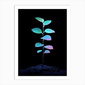 Plant In The Dark 30 Art Print