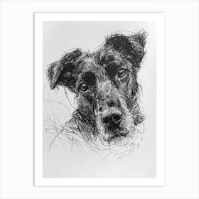 Beauceron Dog Line Sketch  4 Art Print