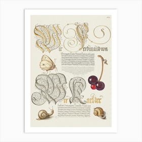 Butterfly, Sweet Cherry, And Land Snails From Mira Calligraphiae Monumenta, Joris Hoefnagel Art Print