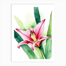 Watercolor Lily Art Print