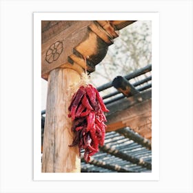 Chile Peppers Drying Art Print