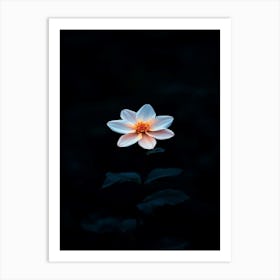 Single Flower In The Dark 6 Art Print