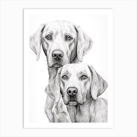 Two Pointer Dogs, Line Drawing 2 Art Print