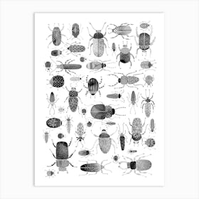 Beetles and Bugs Ink Painting Art Print