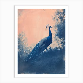 Peacock In The Wild Blue Cyanotype 1 Art Print