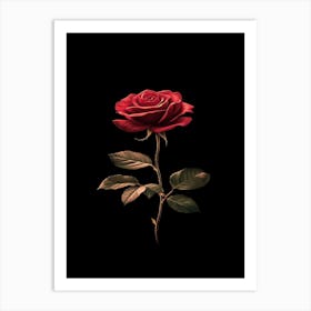 Rose In The Dark 15 Art Print