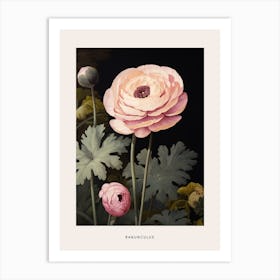 Flower Illustration Ranunculus 1 Poster Art Print