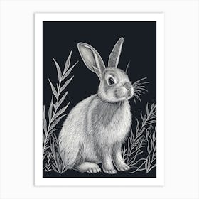 Netherland Dwarf Rabbit Minimalist Illustration 1 Art Print