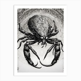 Scorpion Art Print