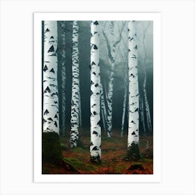 Birch Trees In The Fog 1 Art Print