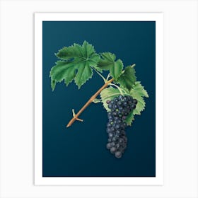 Vintage Black Aleatico Grape Botanical Art on Teal Blue n.0134 Art Print