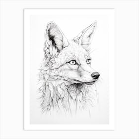 Swift Fox Line Drawing 4 Art Print