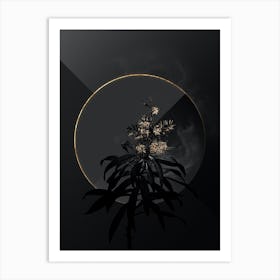 Shadowy Vintage Pleomele Botanical on Black with Gold Art Print