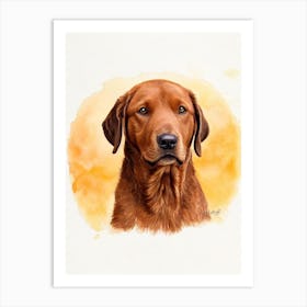 Chesapeake Bay Retriever Illustration Dog Art Print