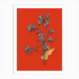Vintage Commelina Tuberosa Black and White Gold Leaf Floral Art on Tomato Red n.0154 Art Print