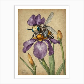 Bee On Iris 1 Art Print