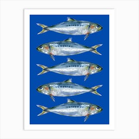 Sardines On A Blue Background Art Print