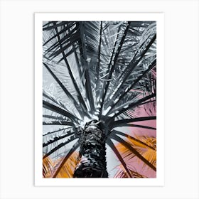 Palm Tree 8 Art Print