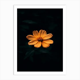 Dark Flower 1 Art Print